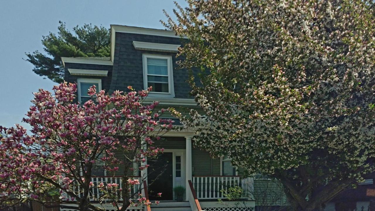 2 Bedroom Boston Condo In Jamaica Plain With Parking Exteriör bild